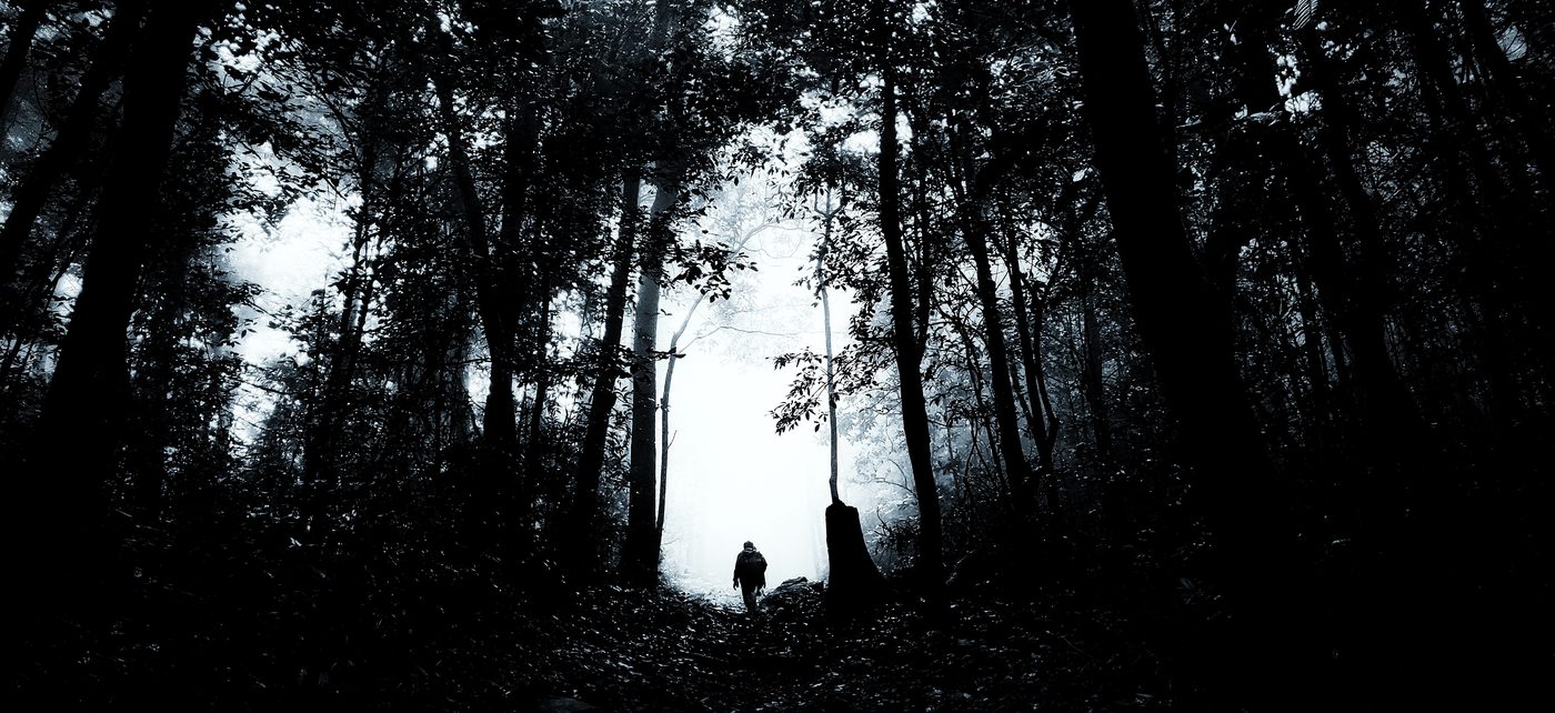 A lone trekker walking into misty light between dark forest trees